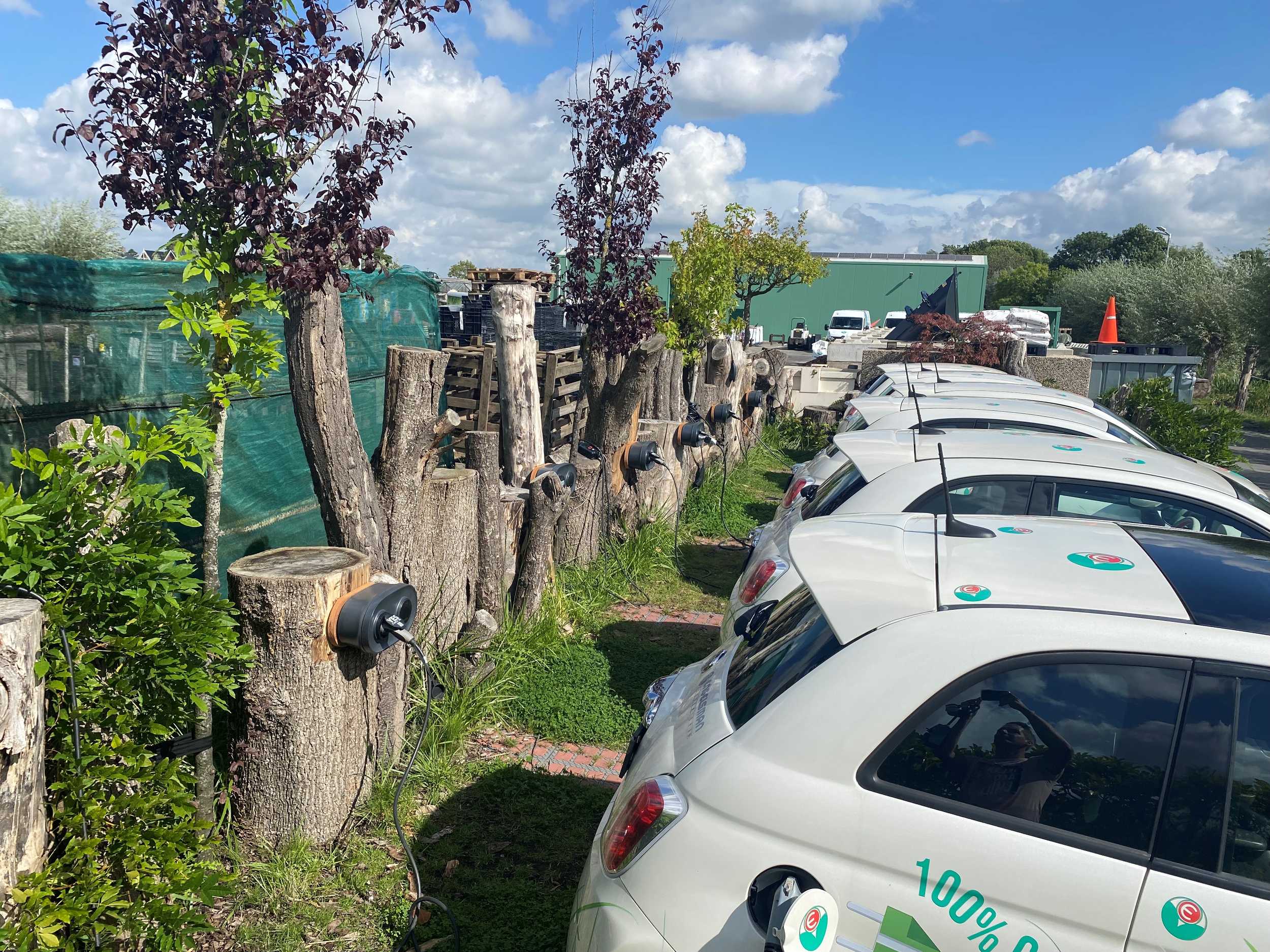 maatwerk laadplein laadpaal als boom stronk.jpg